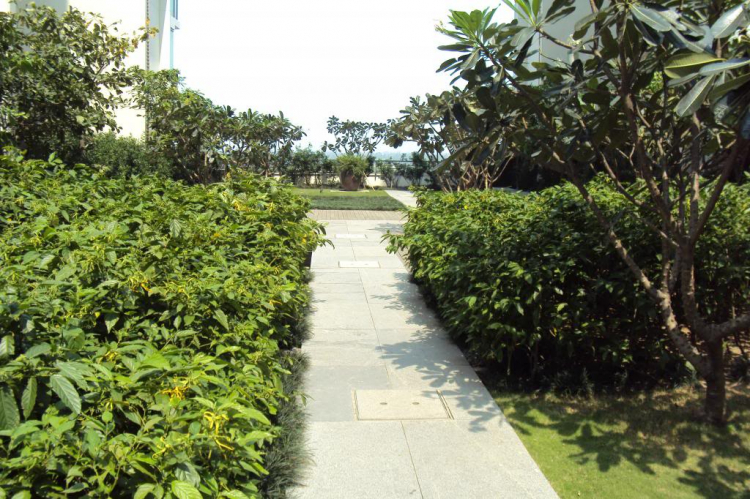Một ngày ở The Vista Một ngày ở The Vista