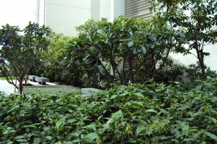 Một ngày ở The Vista Một ngày ở The Vista