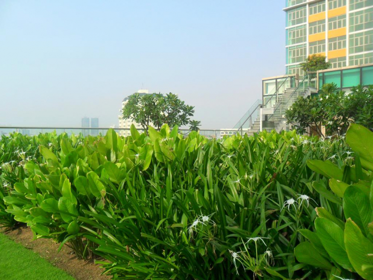 Một ngày ở The Vista Một ngày ở The Vista