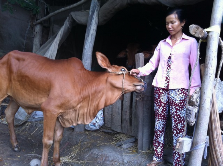 Chương trình quyên góp từ thiện vì đồng bào nghèo Bến Tre!