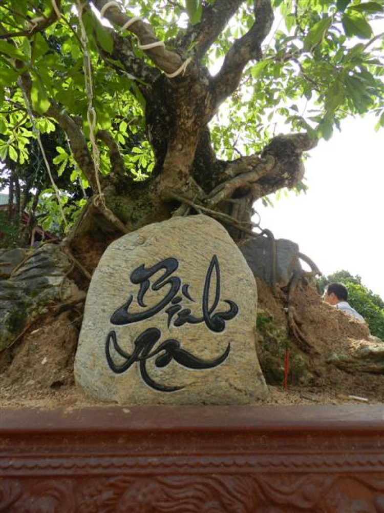ACCORD CLUB: mời gia đình accord ghé Đắk Nông với tình cảm mộc mạc ACCORD CLUB: mời gia đình accord ghé Đắk Nông với tình cảm mộc mạc