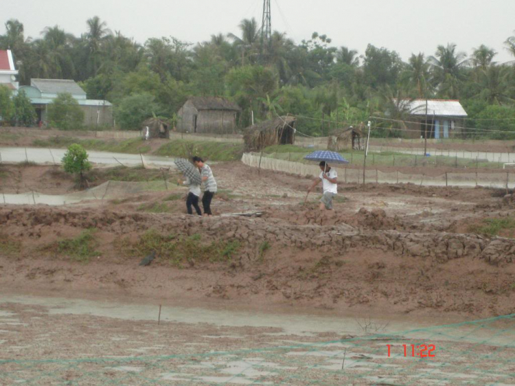 Chuyến đi bàn giao căn nhà tình thương thứ 7 tại Trà Vinh ngày 1/6/2013 Chuyến đi bàn giao căn nhà tình thương thứ 7 tại Trà Vinh ngày 1/6/2013