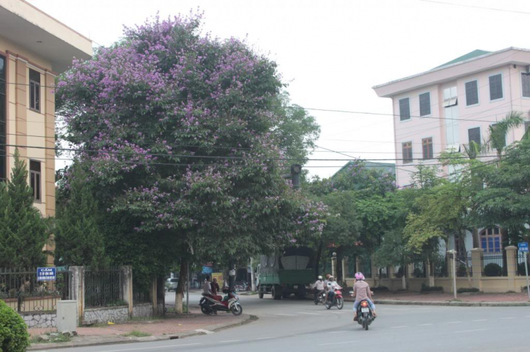 Trao Tặng nhà TT thứ 04 tại Bắc Giang, huyện Lang Giang