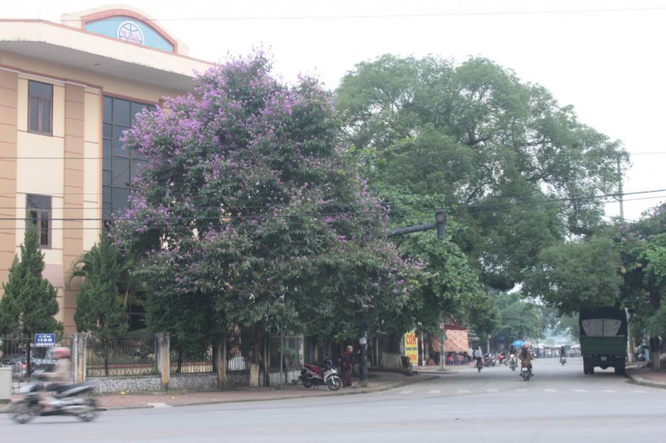 Trao Tặng nhà TT thứ 04 tại Bắc Giang, huyện Lang Giang