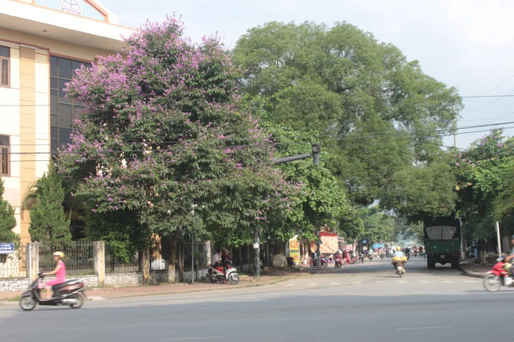 Trao Tặng nhà TT thứ 04 tại Bắc Giang, huyện Lang Giang