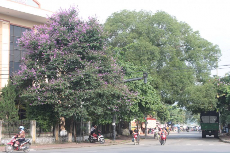 Trao Tặng nhà TT thứ 04 tại Bắc Giang, huyện Lang Giang