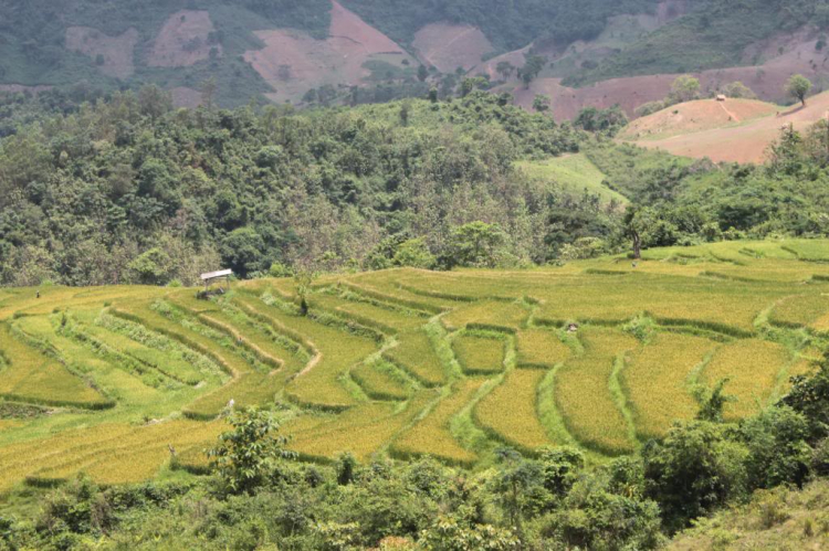 Trao Tặng nhà TT thứ 04 tại Bắc Giang, huyện Lang Giang