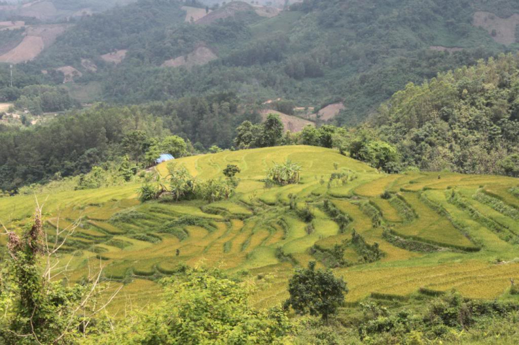 Trao Tặng nhà TT thứ 04 tại Bắc Giang, huyện Lang Giang