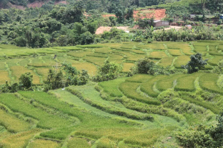 Trao Tặng nhà TT thứ 04 tại Bắc Giang, huyện Lang Giang
