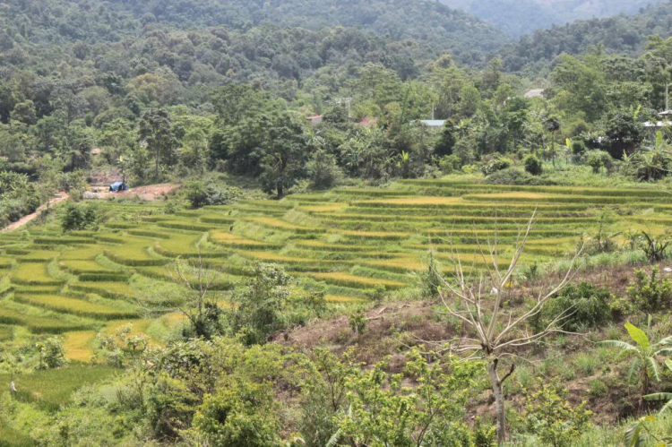 Trao Tặng nhà TT thứ 04 tại Bắc Giang, huyện Lang Giang