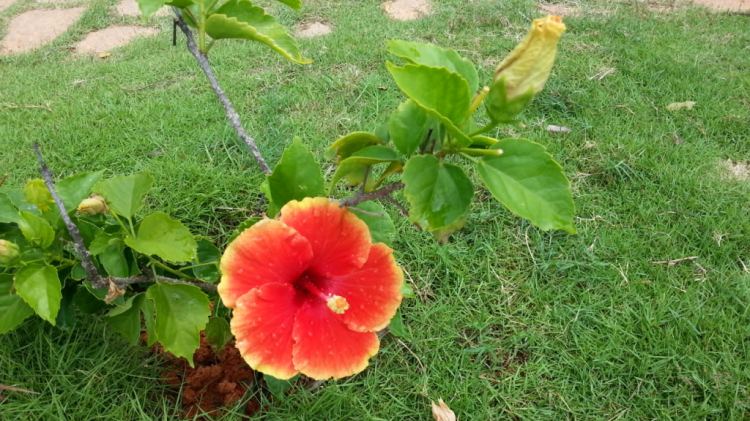 Gỉai nhiệt mùa Hè