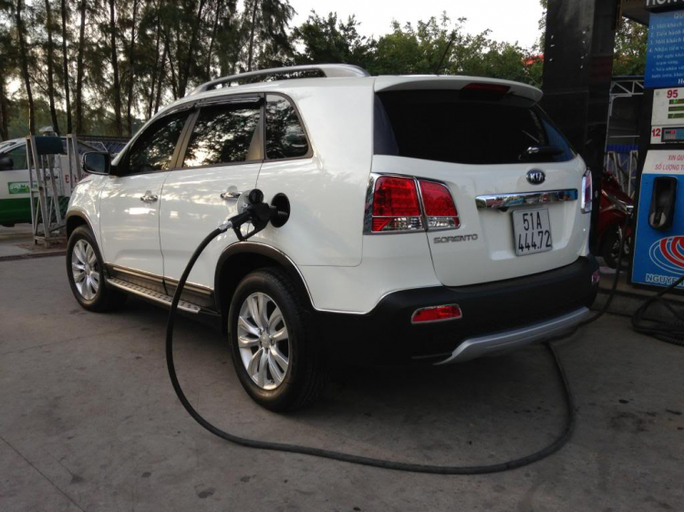 NƠI TỤ TẬP ĂN CHƠI VÀ ĐÓN CHÀO THÀNH VIÊN MỚI CỦA AE SORENTO ! NƠI TỤ TẬP ĂN CHƠI VÀ ĐÓN CHÀO THÀNH VIÊN MỚI CỦA AE SORENTO !