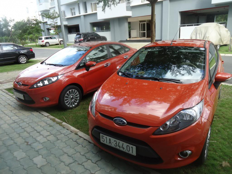 Tư vấn fiesta Tư vấn fiesta