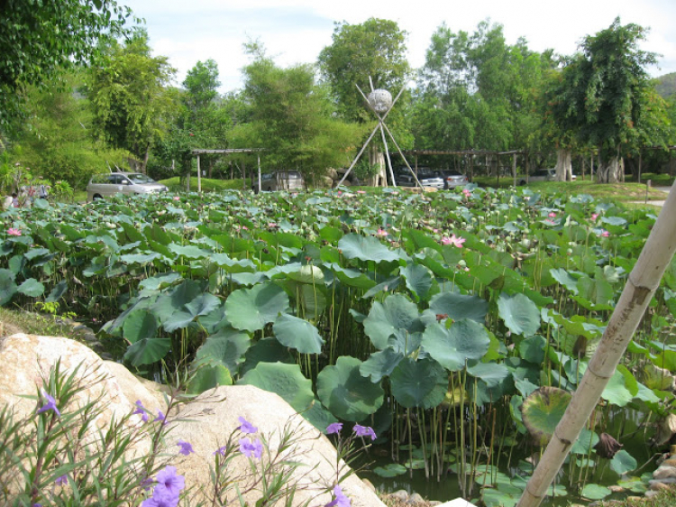 Nha Trang tắm và tắm