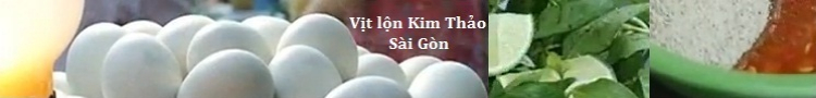 Hướng dẫn lái xe ô tô Innova G miễn phí . Hướng dẫn lái xe ô tô Innova G miễn phí .