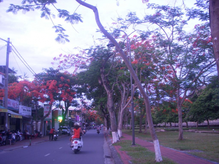 Ký sự hành trình : Hè về, miền trung biển gọi Ký sự hành trình : Hè về, miền trung biển gọi