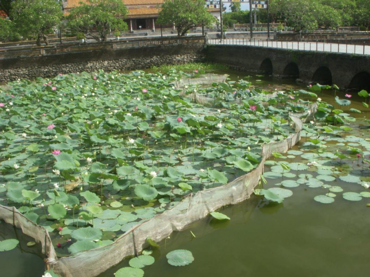 Ký sự hành trình : Hè về, miền trung biển gọi Ký sự hành trình : Hè về, miền trung biển gọi