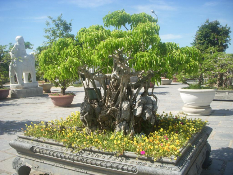 Ký sự hành trình : Hè về, miền trung biển gọi Ký sự hành trình : Hè về, miền trung biển gọi