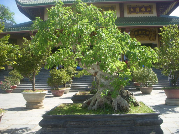 Ký sự hành trình : Hè về, miền trung biển gọi Ký sự hành trình : Hè về, miền trung biển gọi