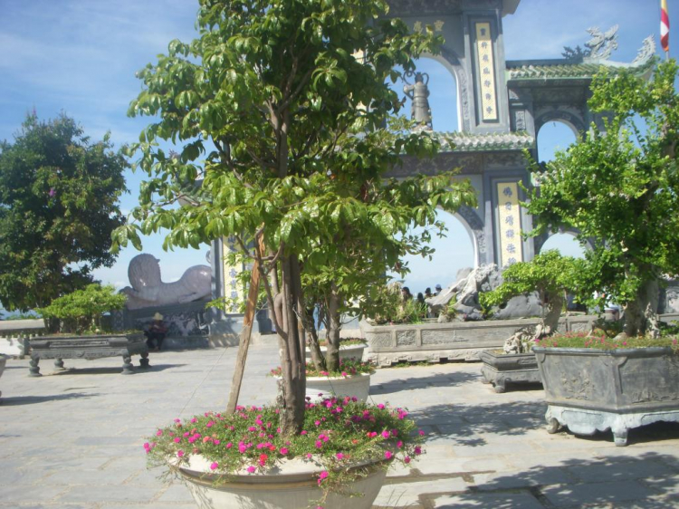Ký sự hành trình : Hè về, miền trung biển gọi Ký sự hành trình : Hè về, miền trung biển gọi