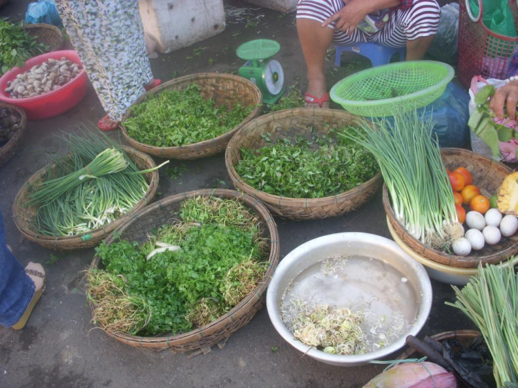 Ký sự hành trình : Hè về, miền trung biển gọi Ký sự hành trình : Hè về, miền trung biển gọi