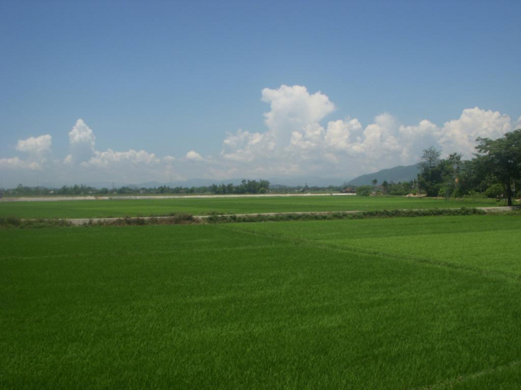 Ký sự hành trình : Hè về, miền trung biển gọi Ký sự hành trình : Hè về, miền trung biển gọi