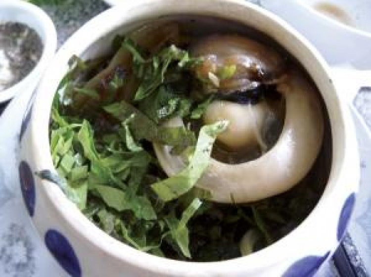 Ký sự hành trình : Hè về, miền trung biển gọi Ký sự hành trình : Hè về, miền trung biển gọi