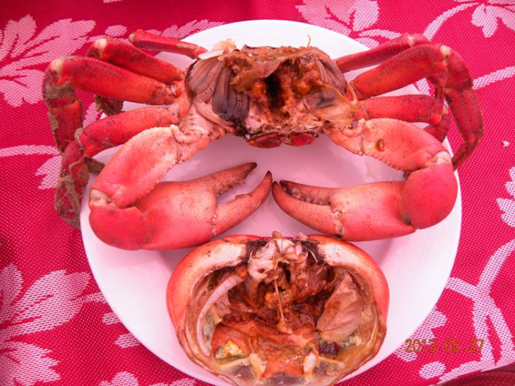Xuyên Việt 30 Ngày - Hè 2013! Xuyên Việt 30 Ngày - Hè 2013!