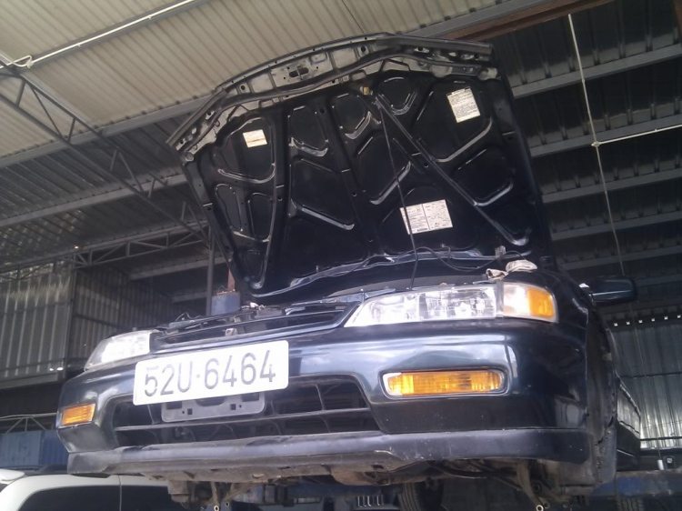 ACCORD CLUB : Chuyên Mục Accord 94-97