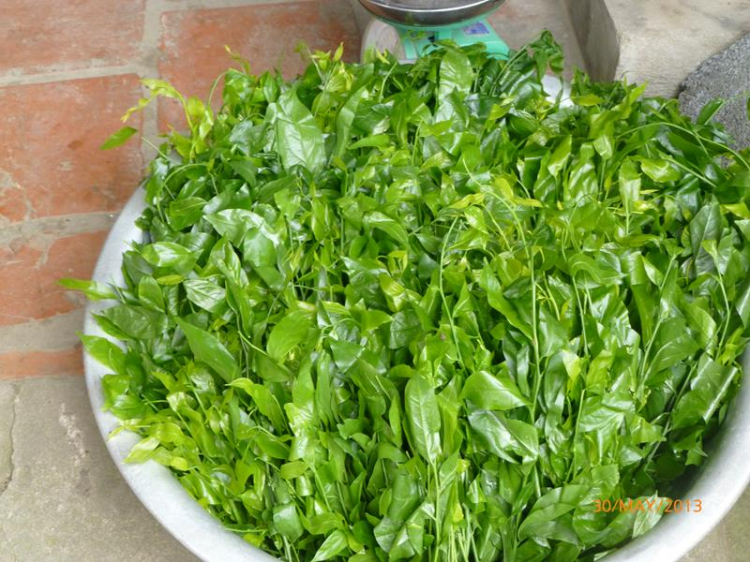 Xuyên Việt 30 Ngày - Hè 2013! Xuyên Việt 30 Ngày - Hè 2013!
