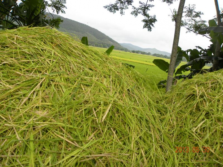 Xuyên Việt 30 Ngày - Hè 2013! Xuyên Việt 30 Ngày - Hè 2013!