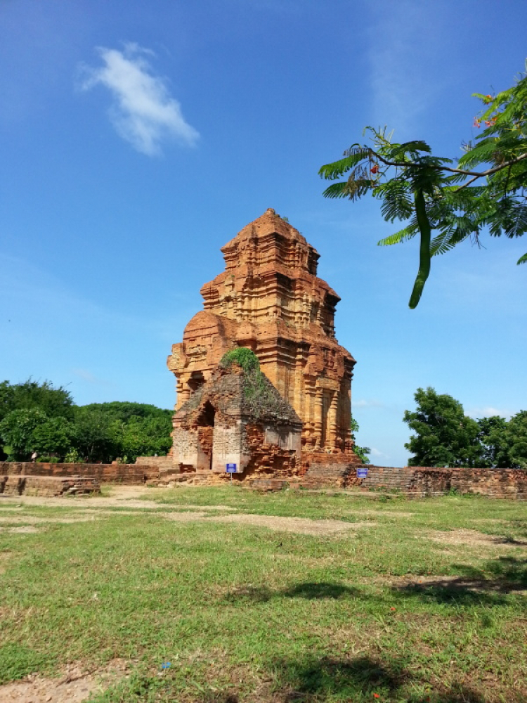 Matiz: chân ngắn trên đường dài! Festival Đà Lạt 2013.(p204)