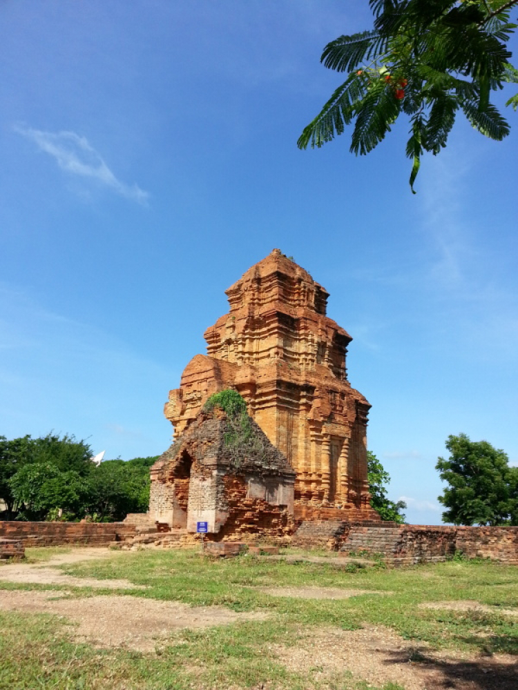 Matiz: chân ngắn trên đường dài! Festival Đà Lạt 2013.(p204)