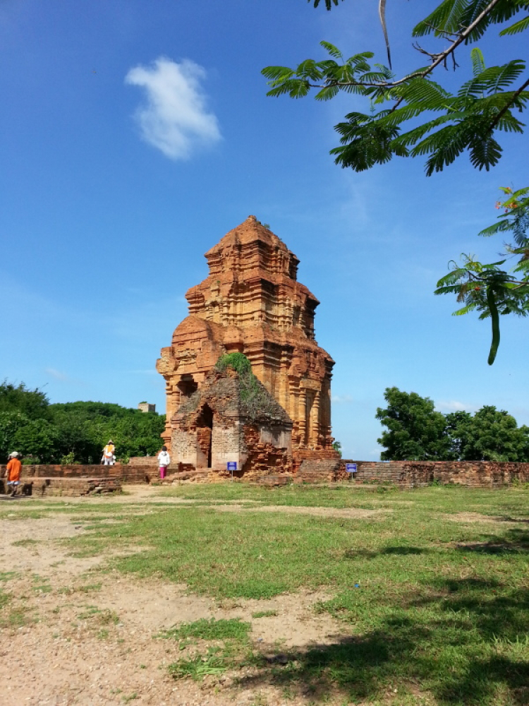 Matiz: chân ngắn trên đường dài! Festival Đà Lạt 2013.(p204)