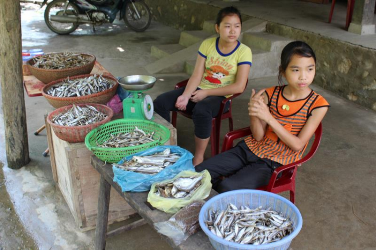 Xuyên Việt 30 Ngày - Hè 2013!