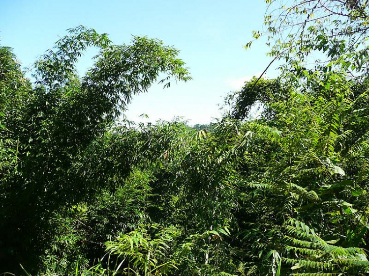 Dốc đá vôi - Thử sức mùa mưa 2013 cho anh em Offroad 28/6/2013 Dốc đá vôi - Thử sức mùa mưa 2013 cho anh em Offroad 28/6/2013