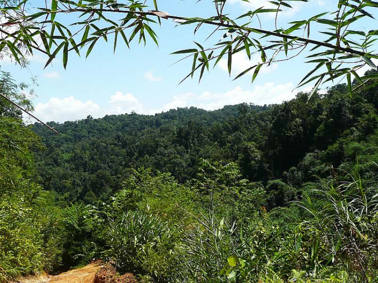 Dốc đá vôi - Thử sức mùa mưa 2013 cho anh em Offroad 28/6/2013 Dốc đá vôi - Thử sức mùa mưa 2013 cho anh em Offroad 28/6/2013