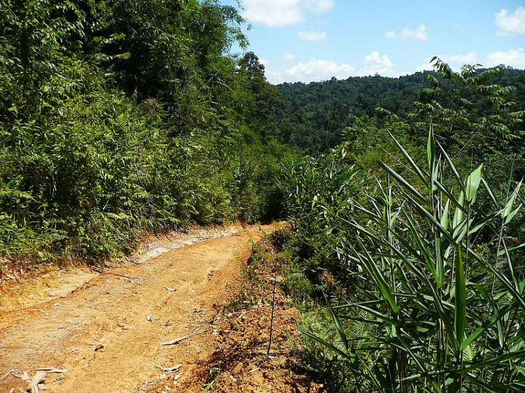 Dốc đá vôi - Thử sức mùa mưa 2013 cho anh em Offroad 28/6/2013