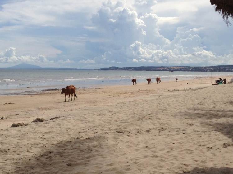 [ KIAfc] Du Lịch Hè 2013 Tại Phan Thiết cùng gia đình KIAfc . ( hình ảnh 22,23,25,26,27 )