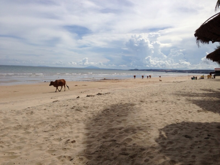 [ KIAfc] Du Lịch Hè 2013 Tại Phan Thiết cùng gia đình KIAfc . ( hình ảnh 22,23,25,26,27 )