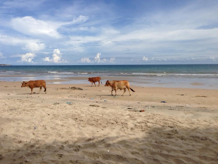 [ KIAfc] Du Lịch Hè 2013 Tại Phan Thiết cùng gia đình KIAfc . ( hình ảnh 22,23,25,26,27 )