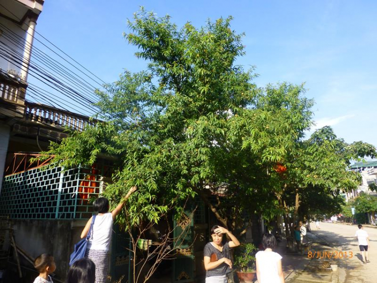 Xuyên Việt 30 Ngày - Hè 2013!