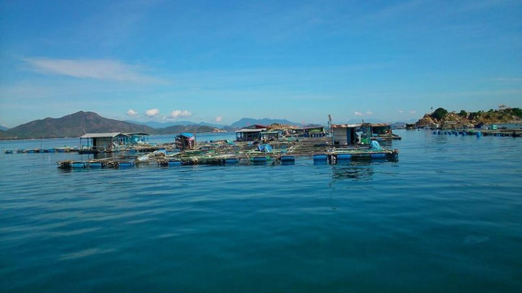 Đảo Bình Hưng - Mở mắt ra là biển