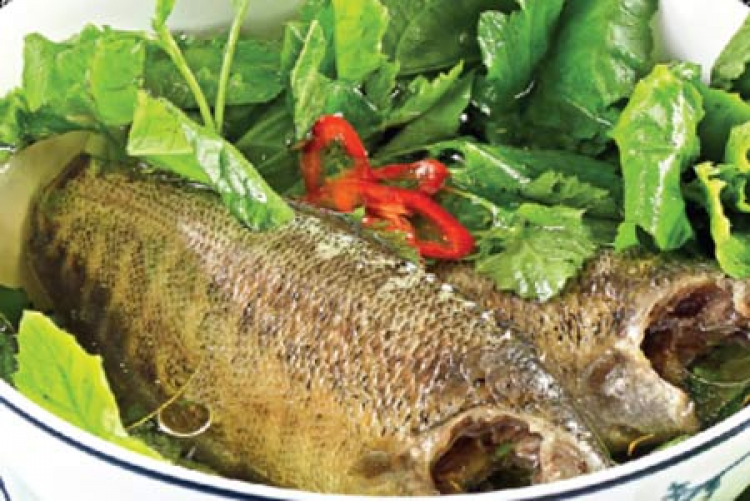 Miệt vườn Miệt vườn