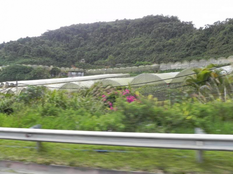 PHƯỢT MALAYSIA - Cả nhà em liều một phen !