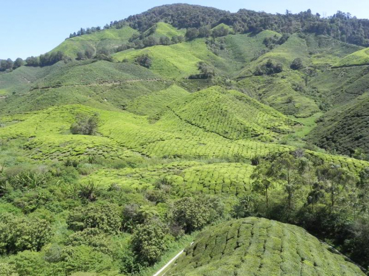 PHƯỢT MALAYSIA - Cả nhà em liều một phen !