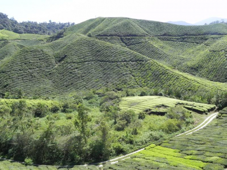 PHƯỢT MALAYSIA - Cả nhà em liều một phen !