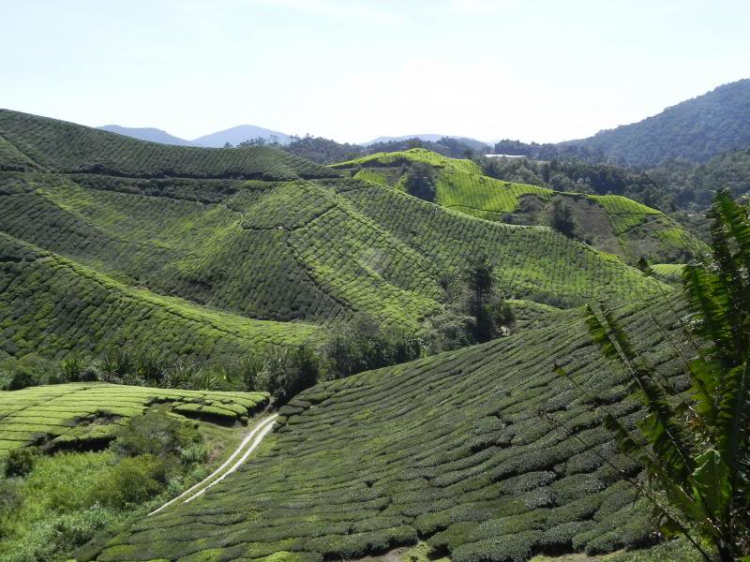 PHƯỢT MALAYSIA - Cả nhà em liều một phen !
