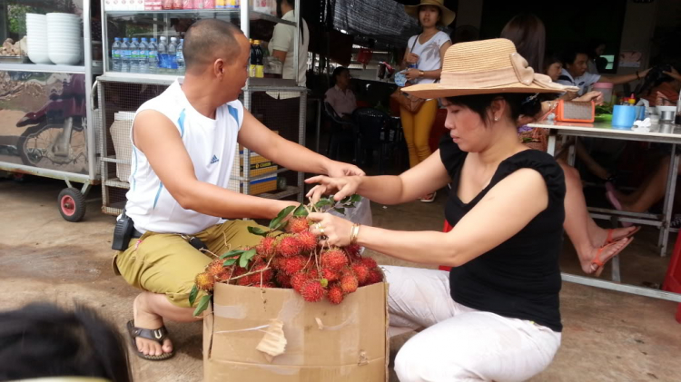 Tường thuật trực tiếp Chương trình vui hè cho các thành viên nhí FFC du lịch hè Nha Trang