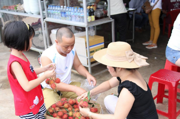 Tường thuật trực tiếp Chương trình vui hè cho các thành viên nhí FFC du lịch hè Nha Trang